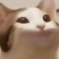 愛錢的pop cat
