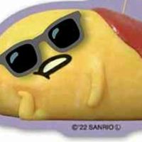 かわこう教！！！！