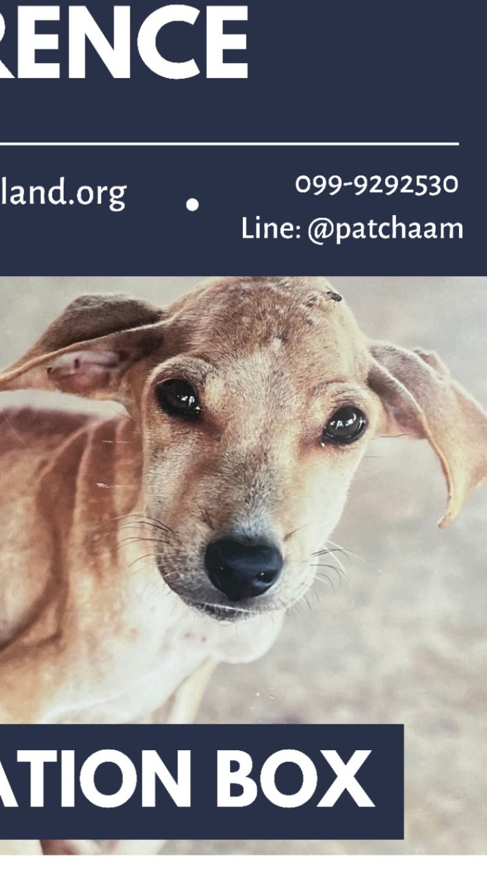 ชุมชนคนรักสุนัขPAT