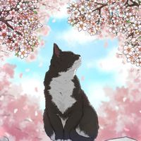 福山市40代の雑談部屋