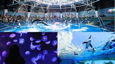 【東京水族館推薦】夏天玩樂不怕熱不怕下雨！來逛東京必去的三家夢幻水族館
