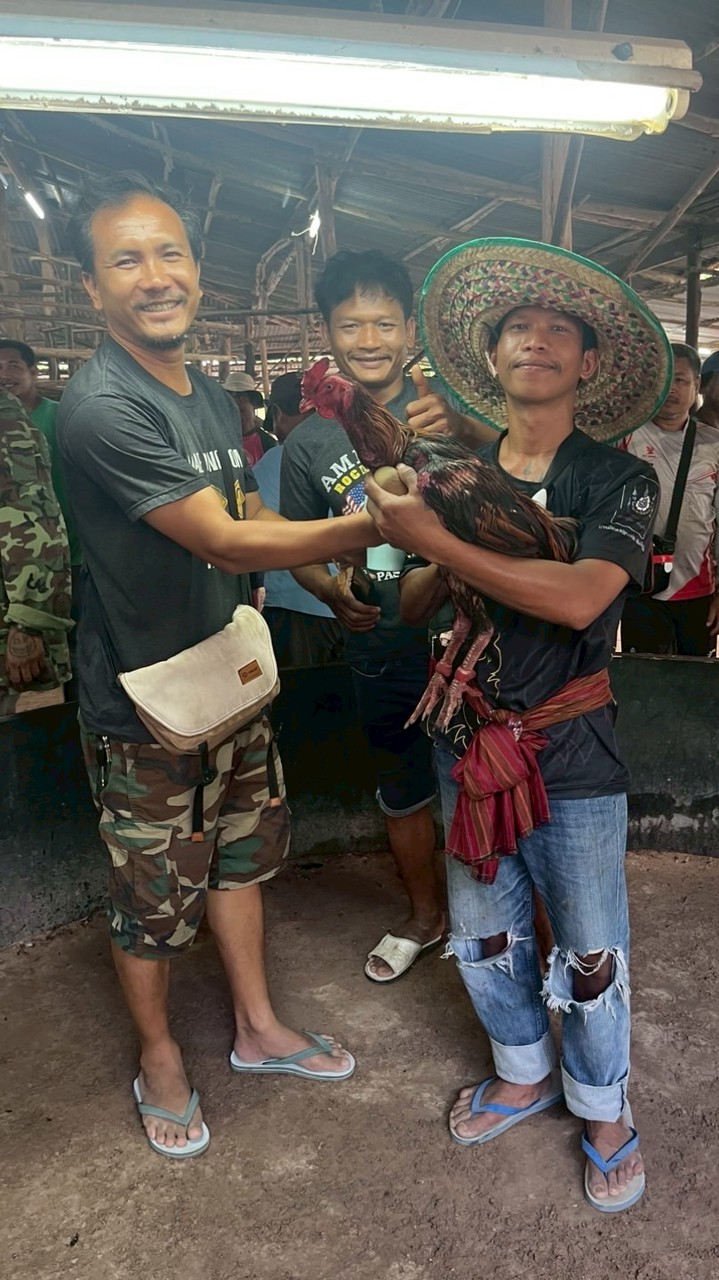 ซุ้ม สิงห์ประดู่ทอง