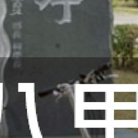 我是八里人
