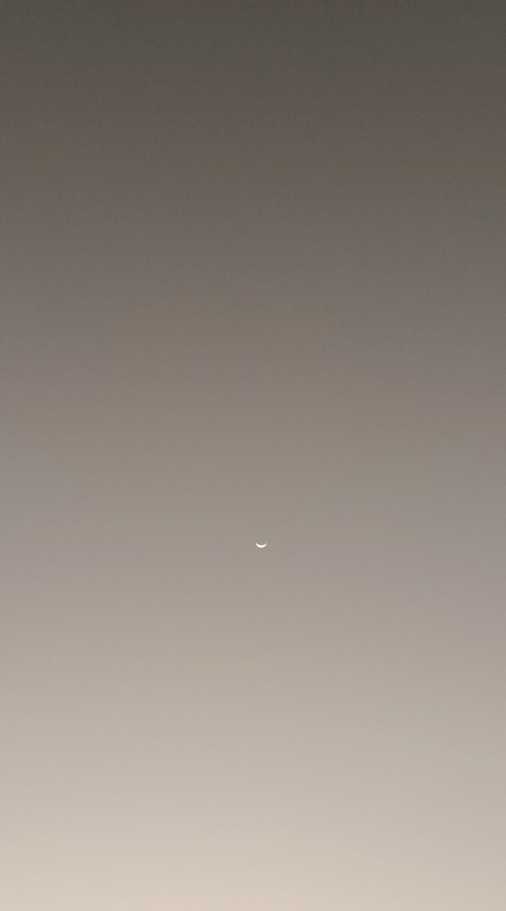 Moyed StarLine☆⁠代購社群