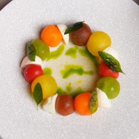 十萬個餵什麼