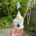 ミルクソフトクリーム - 実際訪問したユーザーが直接撮影して投稿した大石カフェT's cafeの写真のメニュー情報