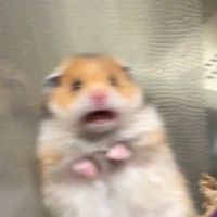 目があったな…❓️よし、入室‼️全緩也〜🫵🫂😚😡🥺🥰😎