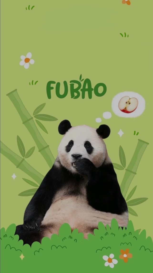🐼🎋福寶迷俱樂部🐼寶家族🐼福寶熊貓應援專區🙌🏼📢💬