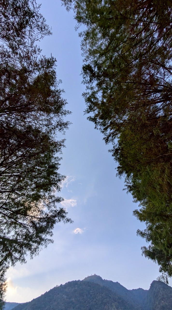 115-01-30武界雲海民宿