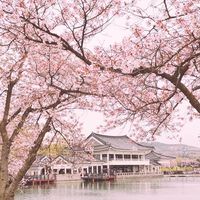 PTT韓國版🇰🇷旅遊討論🧳