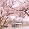 PTT韓國版🇰🇷旅遊討論🧳