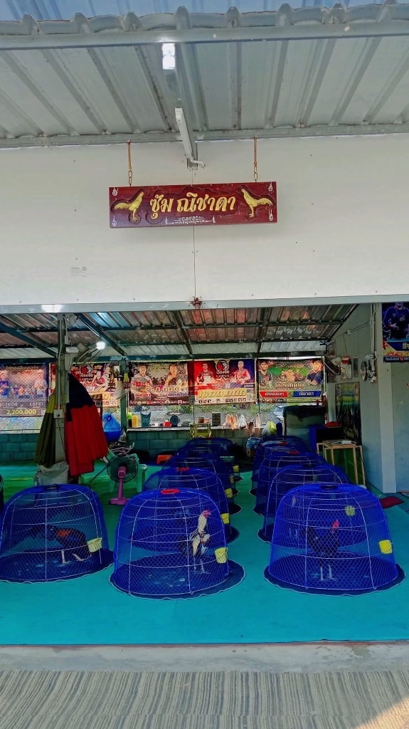 ส.ณิชาดา