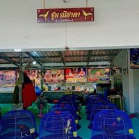 ส.ณิชาดา