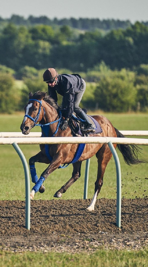 【初心者歓迎】海外競馬の部屋のオープンチャット