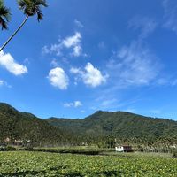 香董香生活