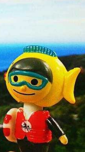 六大全體人員-政令宣達