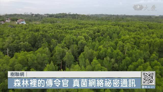 [水星]最終回那位大人會登場嗎？