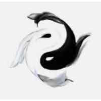 《八字命理》《星座》《塔羅牌》改善生活、建議方向、解決心中困擾
