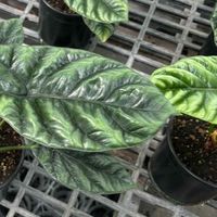 理財菜鳥同樂會