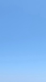 台灣棒球旅外選手閒聊