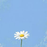 有花植說-員基