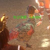 テンジャパン