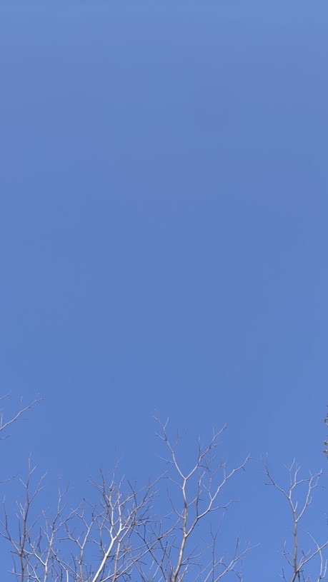 燃動每一天-21天每日7500步
