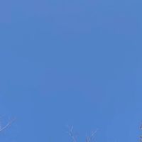 燃動每一天-21天每日7500步
