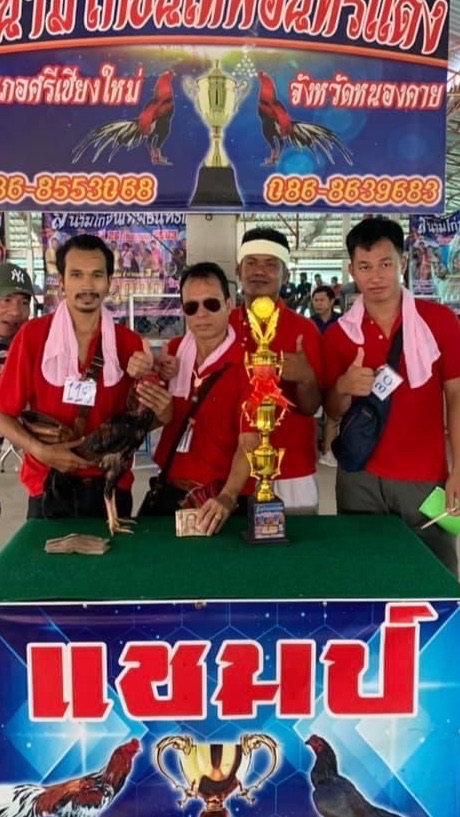 ซุ้มคมเพชร