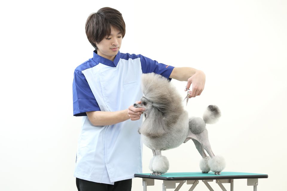 スカイ総合ペット専門学校 Line Official Account