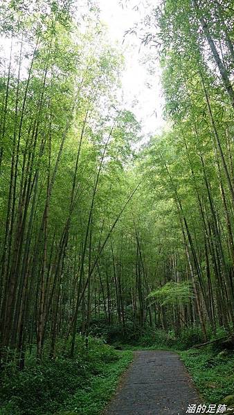 週二溪頭-鄉親旅遊