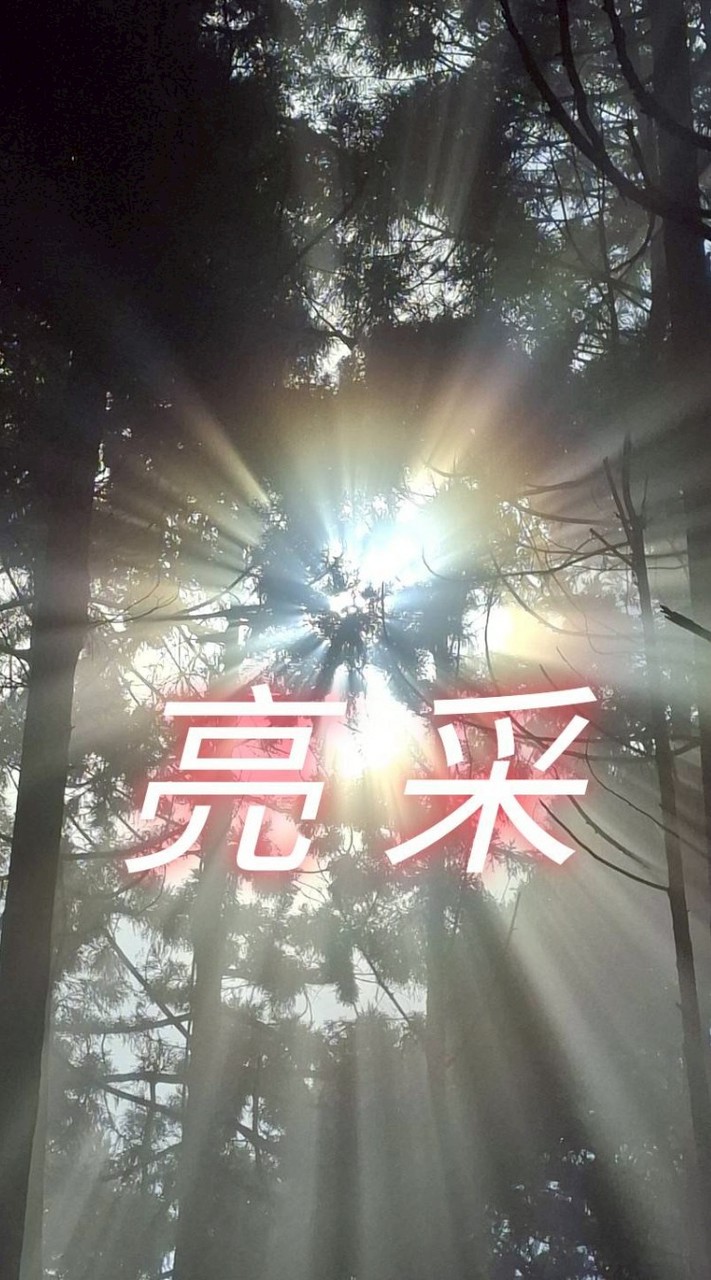 💞亮采旅遊專區