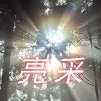 💞亮采旅遊專區