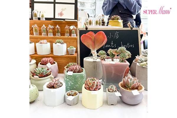 三日限定 香港珍奇植物市集 Supermami Line Today