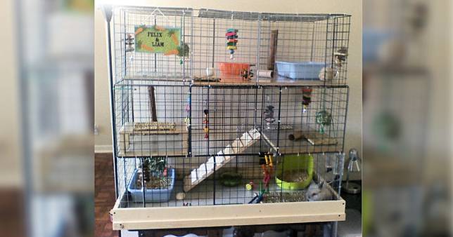 5 Tips Membuat Kandang Kelinci Yang Sederhana