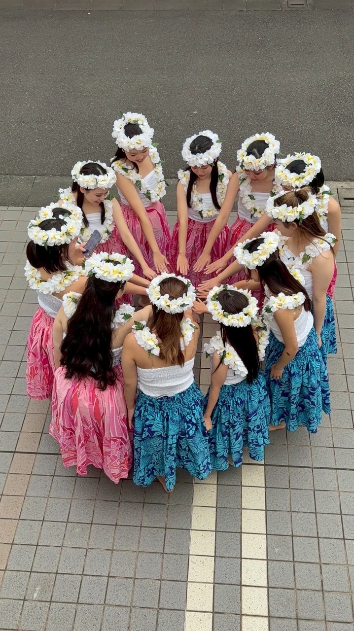 東邦大学フラダンス同好会🌺新歓用2026