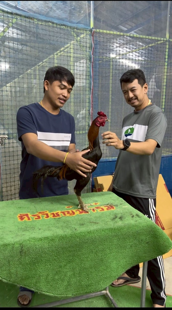 ซุ้มไก่ชนศิลป์พรชัย