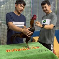 ซุ้มไก่ชนศิลป์พรชัย