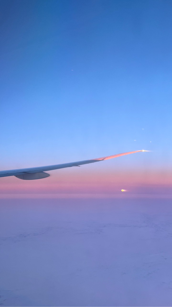 美國Jellycat代購12/12回台！