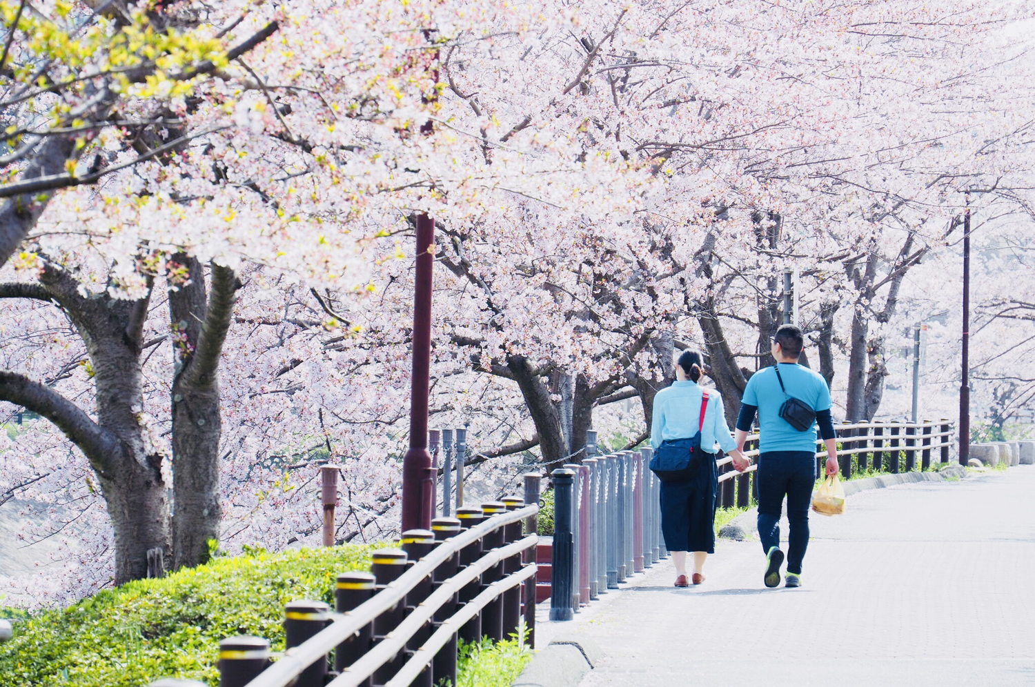 台日戀愛差異：日本男戀愛時拉不下臉做的那些事