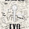 EXO新北愛麗 演唱會伴伴