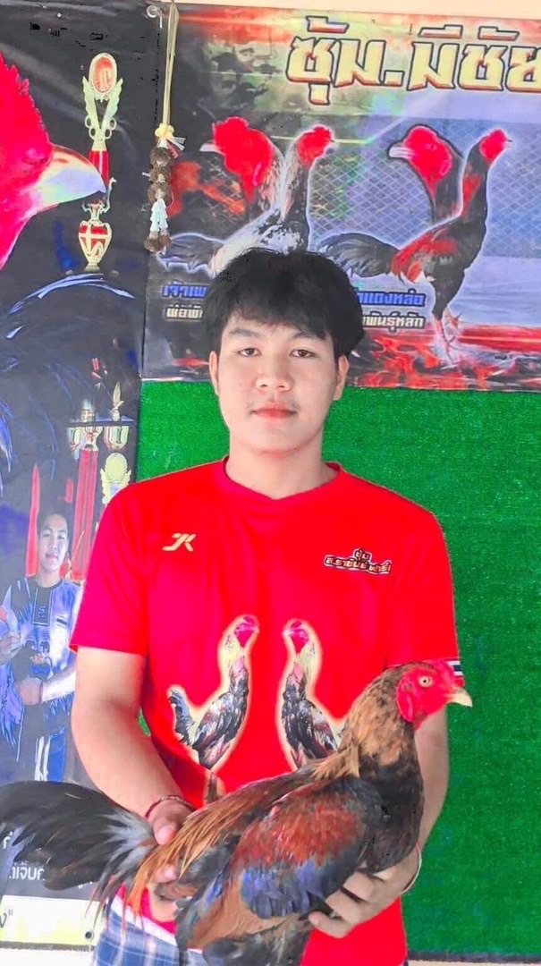 ซุ้ม มีชัย’ฟาร์ม ชื้อขายไก่ และประมูลไก่