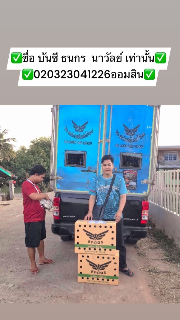 ซุ้ม มีชัย’ฟาร์ม ชื้อขายไก่ และประมูลไก่