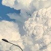 っ...それ、反則。 * 全緩也のオプで呟く *