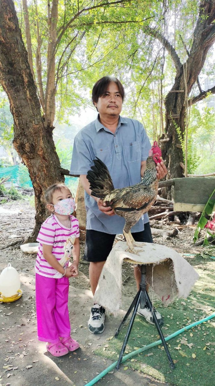 ชุ่ม.ต.เมืองสุวรรณ