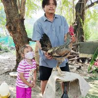 ชุ่ม.ต.เมืองสุวรรณ