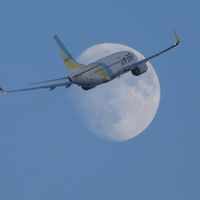 羽田空港愛好家の集い