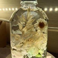 崑崙妲己的花草世界