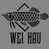 偉昊精品龍魚