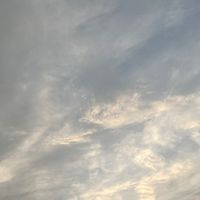 富豪女子への階段(送信専用)